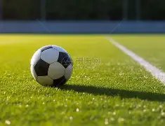 东莞电竞外,设之都联盟,成立,WM完美真人视讯,WM完美真人平台,WM完美真人官网,WM完美真人官网app