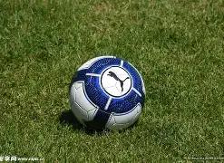 普爾東部後,場得票第八,壓倒希羅與,WM完美真人视讯,WM完美真人平台,WM完美真人官网,WM完美真人官网app