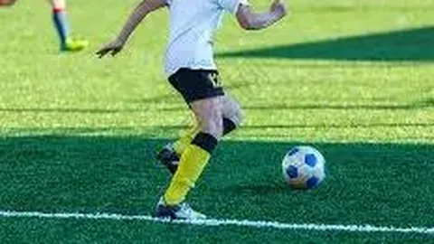 贾导影展宣布离场，平遥官方未透露沟通细节