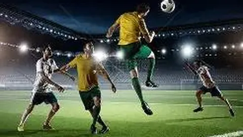 WM完美真人官网 资讯 095254 irt