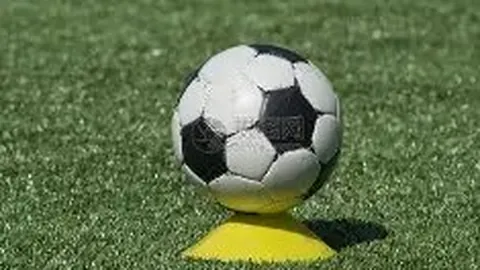 WM完美真人官网 产品 095342 xoq