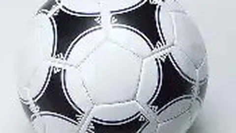 WM完美真人官网