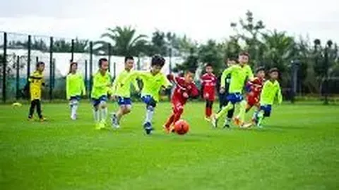 WM完美真人官网 产品 091216 af6