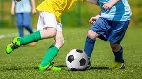 WM完美真人官网 资讯 095422 mbv