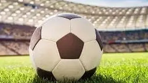 WM完美真人官网 资讯 095417 xdz