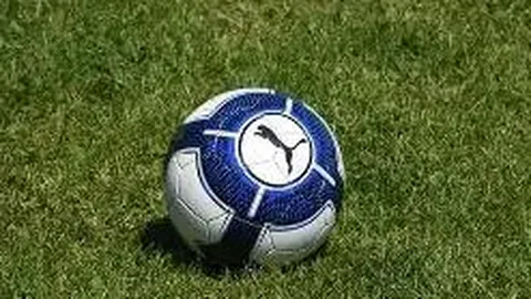 横店东磁计划进行外汇套保操作，最高额度达50亿，以规避汇率波动风险