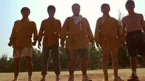 WM完美真人官网 产品 085724 wdz