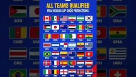 WM完美真人官网 产品 090309 1ts